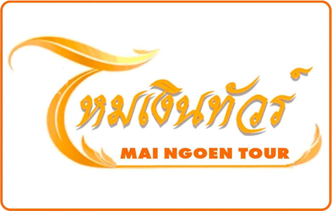 image logo